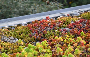 the cost of Donington South Ing green roof installation